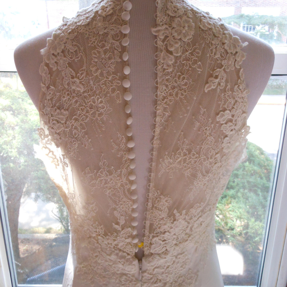 San Patrick by Pronovias Wedding Dress Leila - Picture 7 of 8